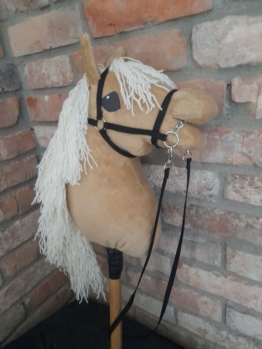 Konik hobby horse