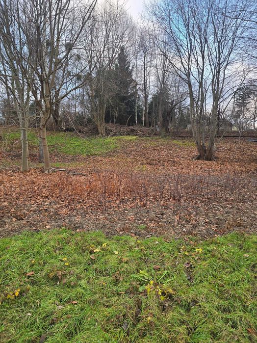 Do wynajęcia grunt ok. 4 000 m² – Czerwonak, przy głównej drodze
