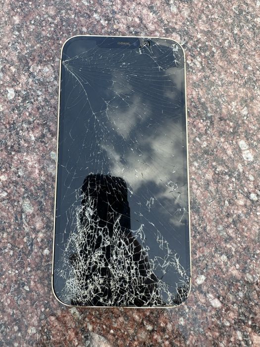 iphone 12 pro max 256