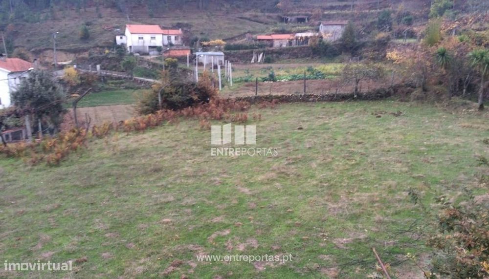 Venda Terreno, Cinfães — Marco, Porto