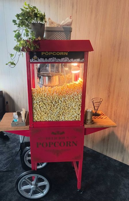 Biały Miś / Dinozaur / Wata cukrowa / PopCorn / Zakręcany ziemniak