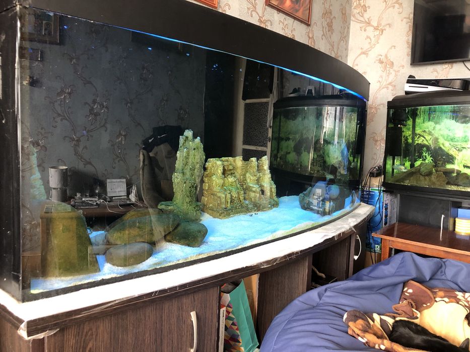 Акваріум панорамний 800л