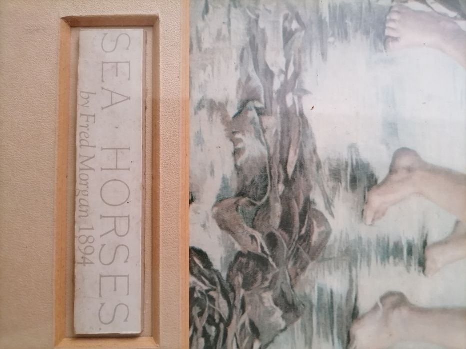 Quadro (gravura) 1894