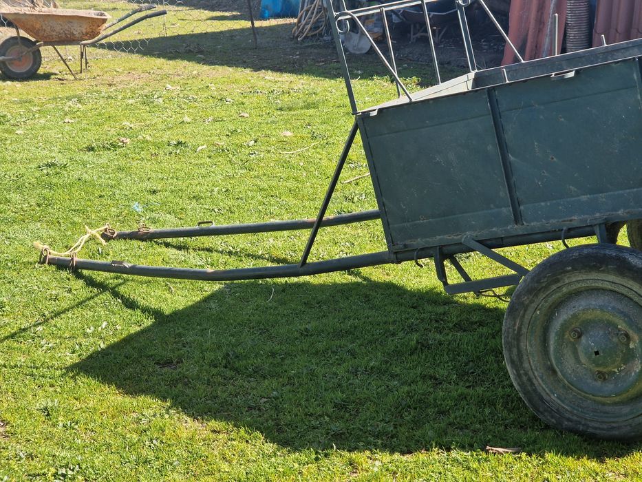 Carroça para Mula ou Burro
