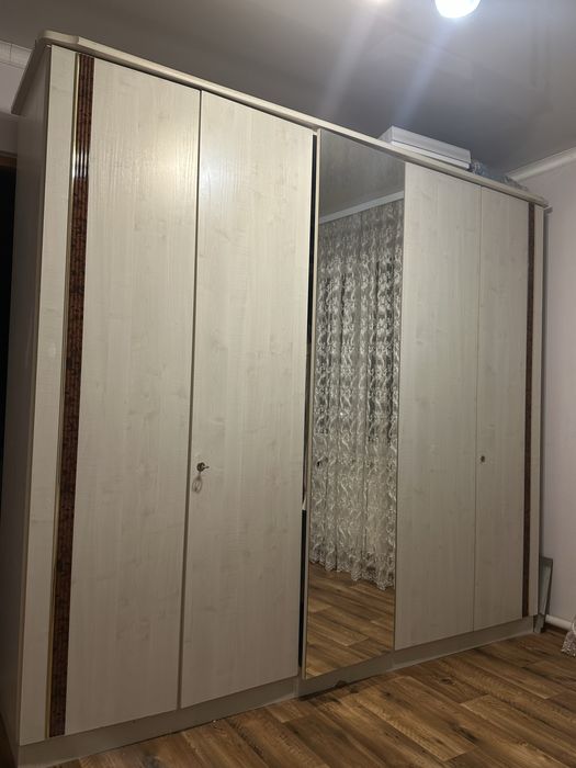 Шафа біла велика