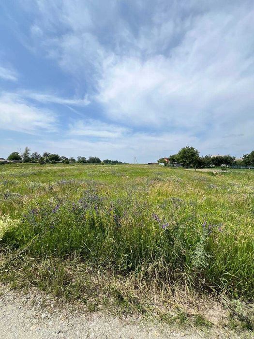 Продам земельну ділянку в Бородянці — 12,62 сотки (Під будівництво)