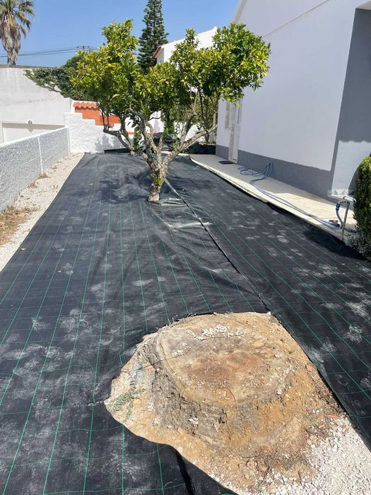 Relva Artificial e Jardinagem, Corte em Altura, Plantação e Regas