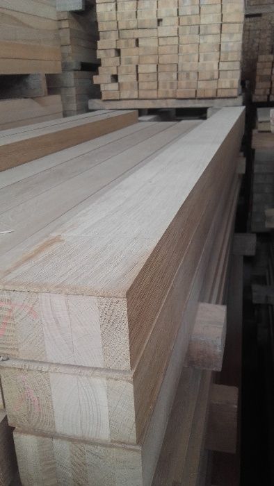 Klejonka (ramiaki) dębowa