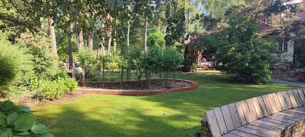 Wakacje dla psa - HOTEL dla psów - Opieka nad psem