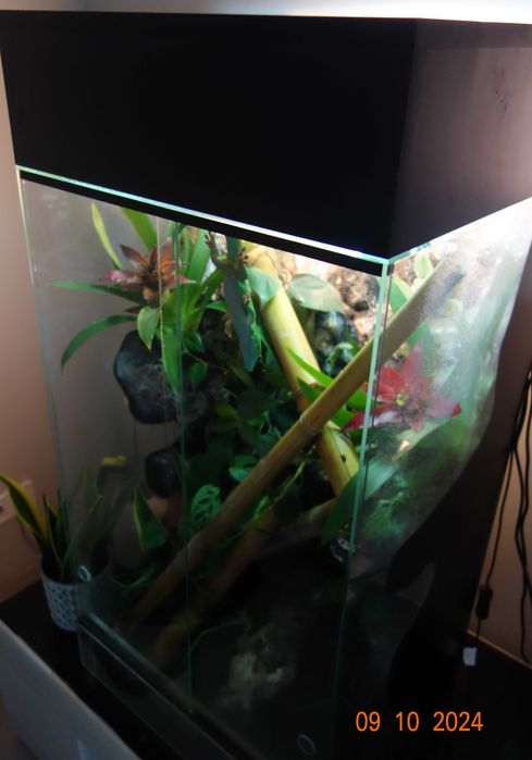 terrarium z wyposażeniem