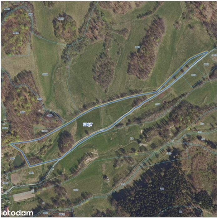 Bukowiec/Grunt/Rolny/Mysłakowice/Góry/Las/Widok/Karkonosze/3,81ha - Widok 2