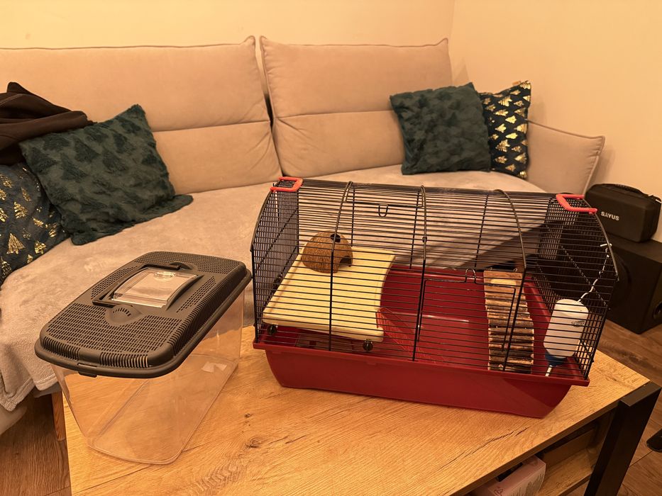 Klatka i tramsporter zestaw