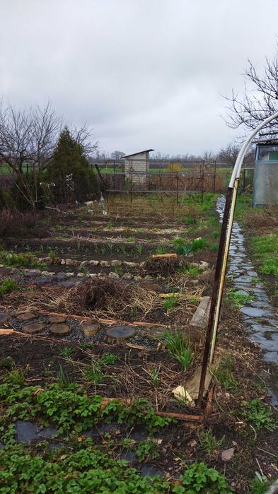 Дом с.Калиновка, 23км от Кривого Рога