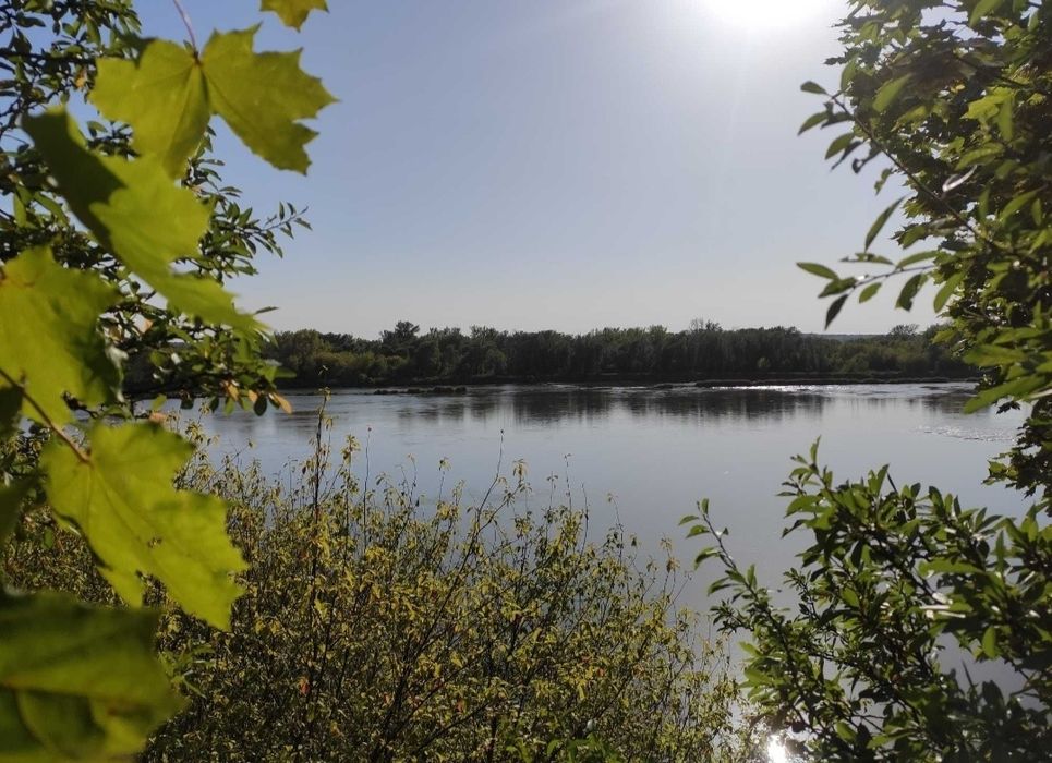 Dom z dużą działką nad brzegiem Wisły Opoczka/Annopol