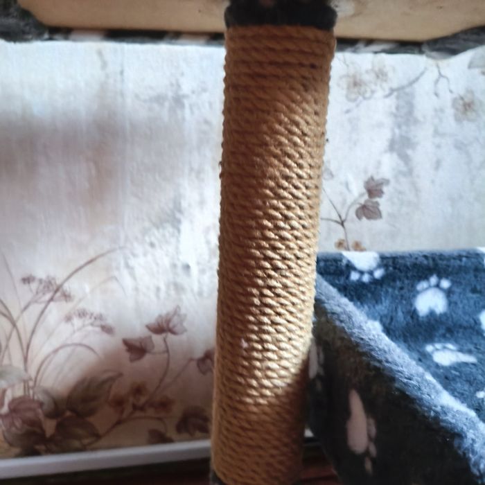 Продам когтеточку для кота