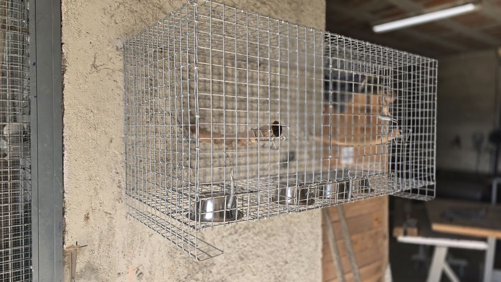 Gaiolas  fortes novas