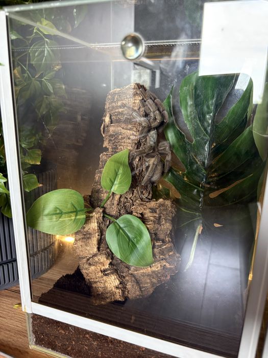 witam wykonam terrarium na zamowienie