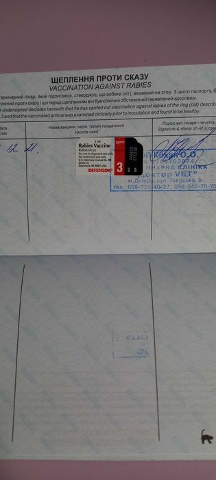 ВЯЗКА Джек Рассел терьер ( мини)