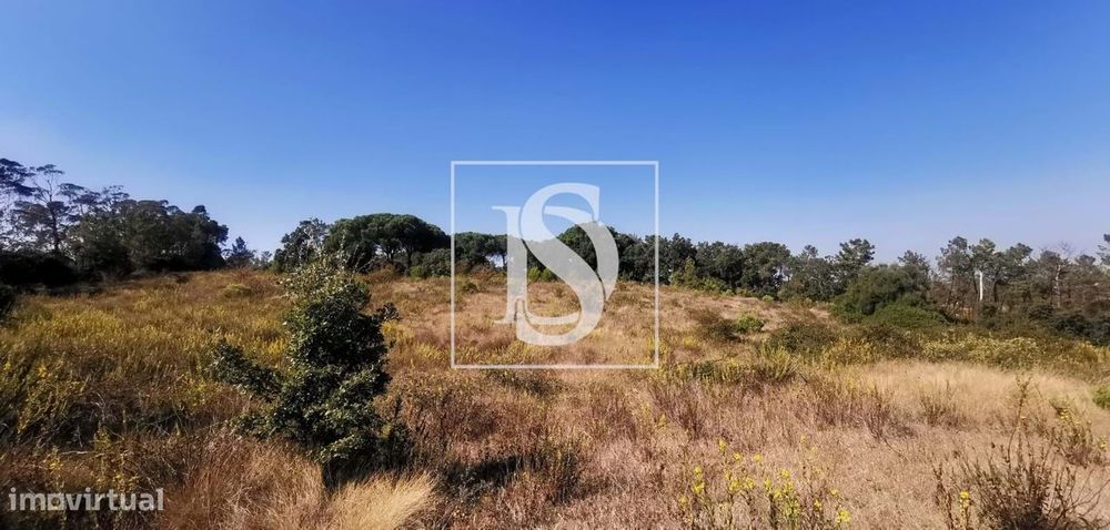 Terreno Rústico com 17.480m2 em Lamarosa — Paialvo, Santarém