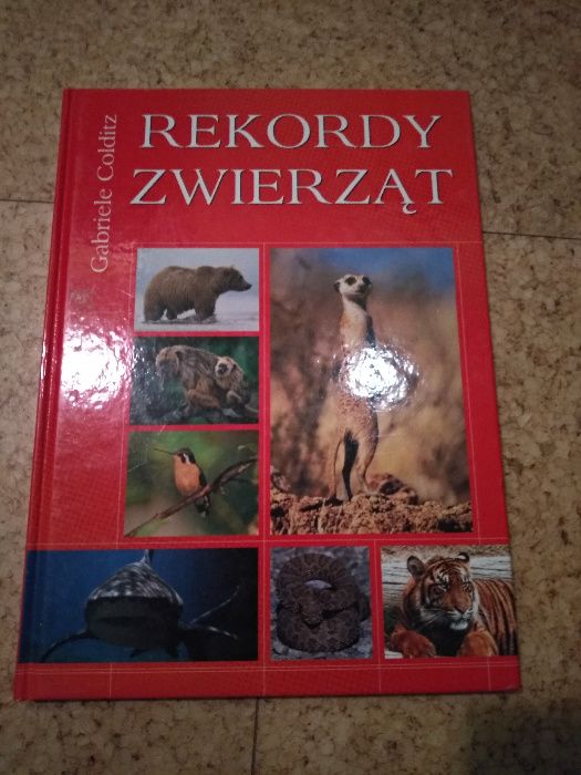 Rekordy zwierząt album