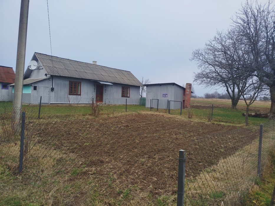 Будинок в Карпатах, біля лісу