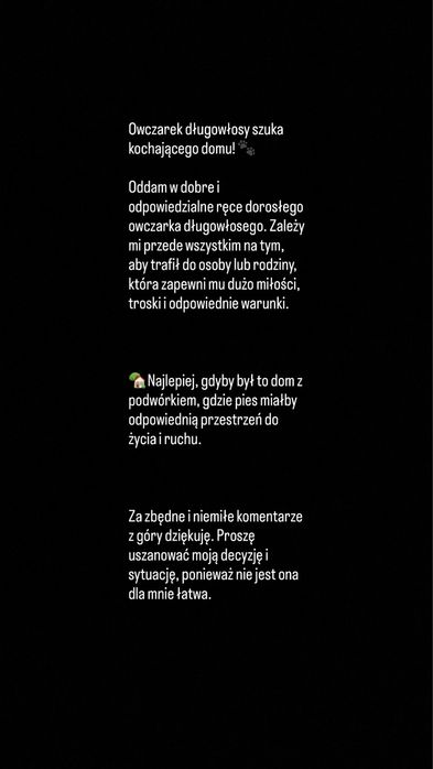 Owczarek   Niemiecki szuka kochajacego domu z podworkiem