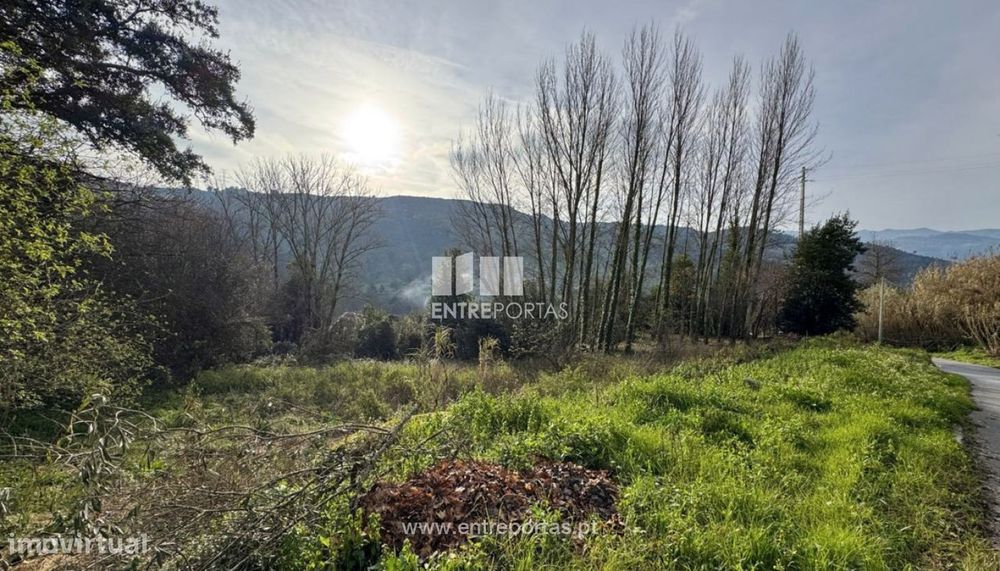 Venda Terreno, Loivos da Ribeira e Tresouras, Baião — Loivos Da Ribeira E Tresouras, Porto