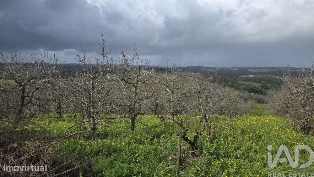 Terreno em Vilar