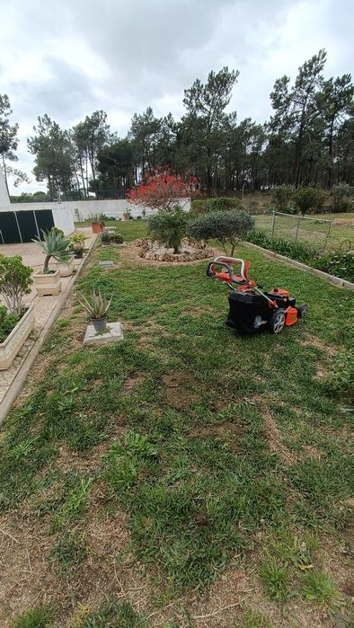 Serviços Jardinagem&Paisagismo