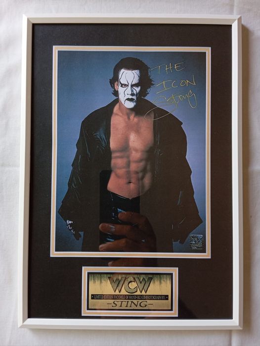 Moldura WCW Legend Sting com Autógrafo (A4)