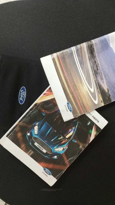 Ford Fiesta Ecobust що