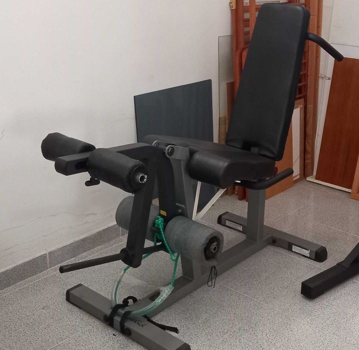 Cadeira de extensão/flexão
