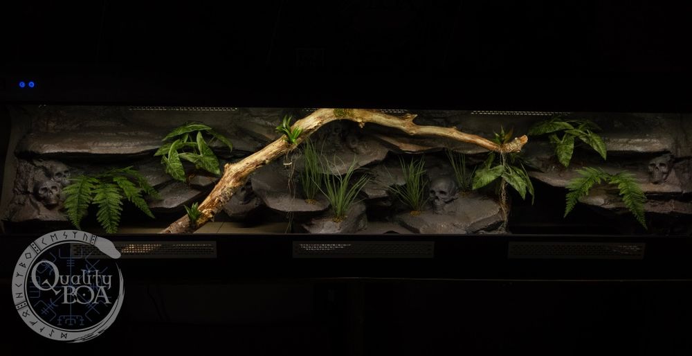 Ogromne terrarium 250×60×70. NOWE !