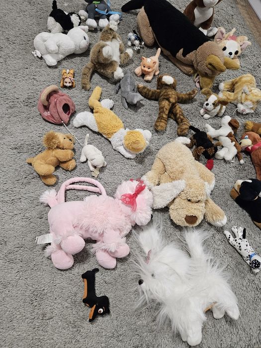 Mega paka zestaw maskotek pieski kotki 35szt