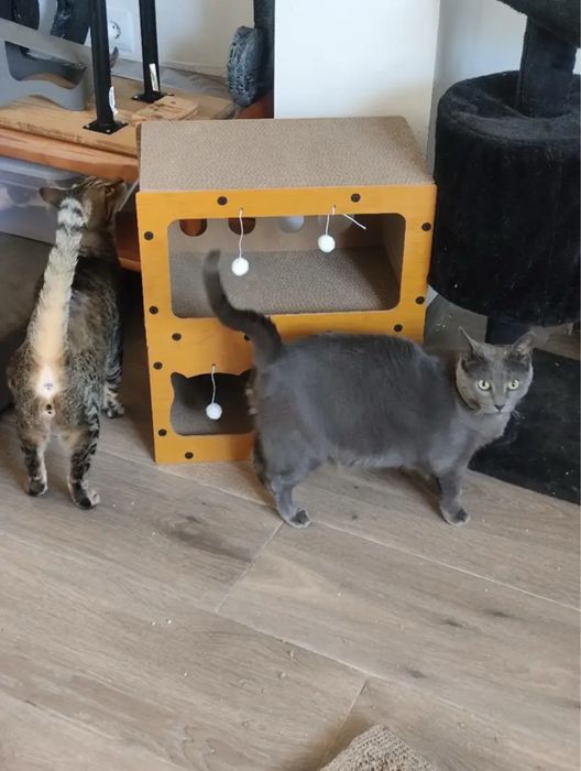Большой Домик когтеточка  для кота 2 этажа