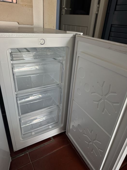 Frigorifico e Arca Congeladora Vertical