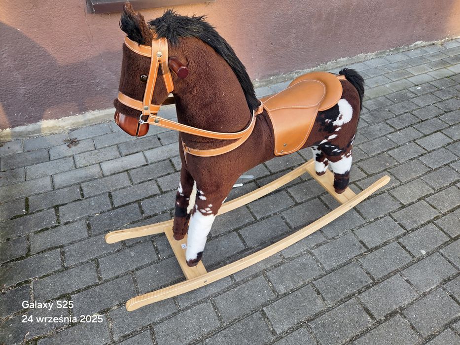 Konik na biegunach