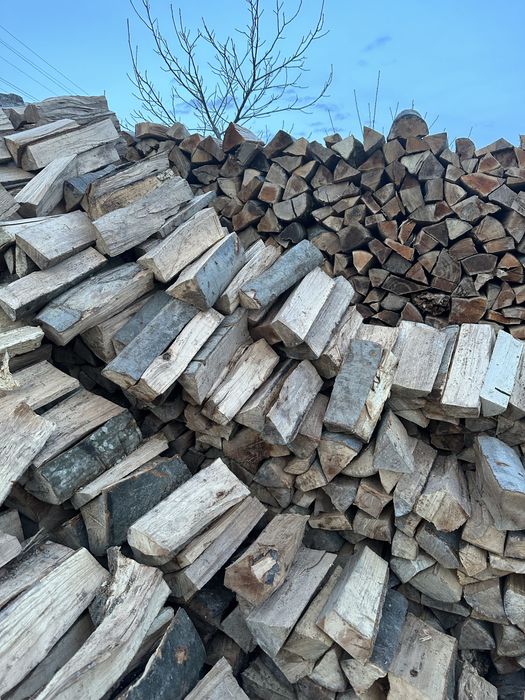 Дрова бук, букові