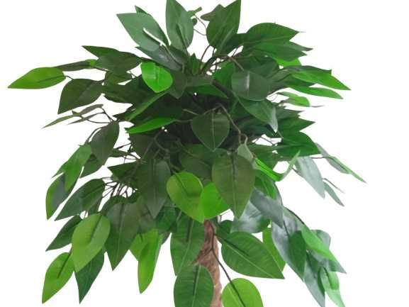 Fikus Sztuczne Drzewko Beniamin Benjamin Kwiat 100