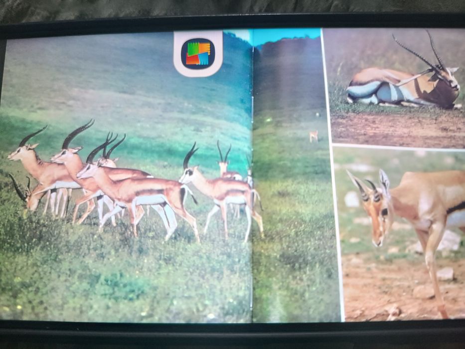 A Fauna coleção completa