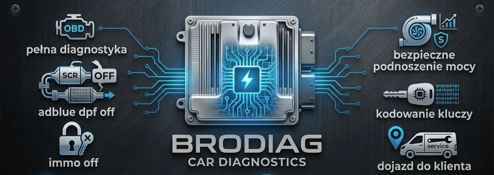 Diagnostyka Mapy Adblue off egr off