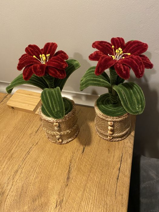 Kwiaty gwiazda betlejemska z drucików kreatywnych w osłonce