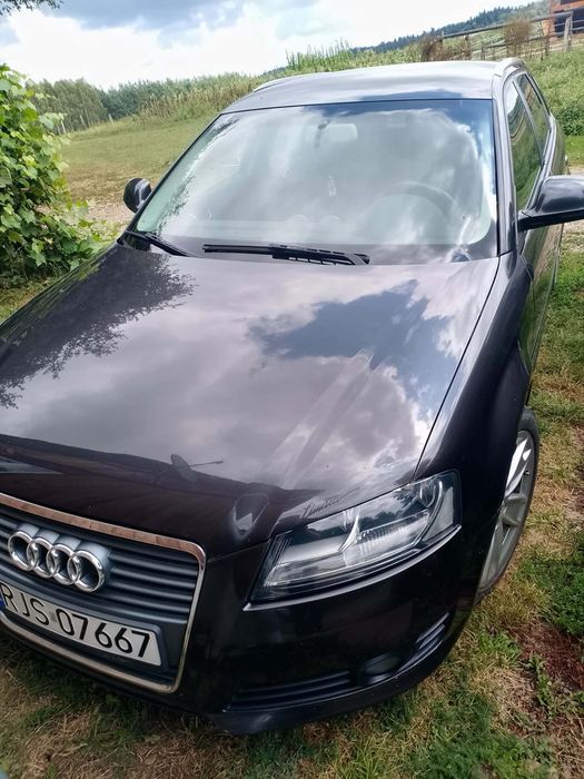 Audi A3 1.4 benzyna 125 KM | 2010 | 233 000 km | 5 drzwi