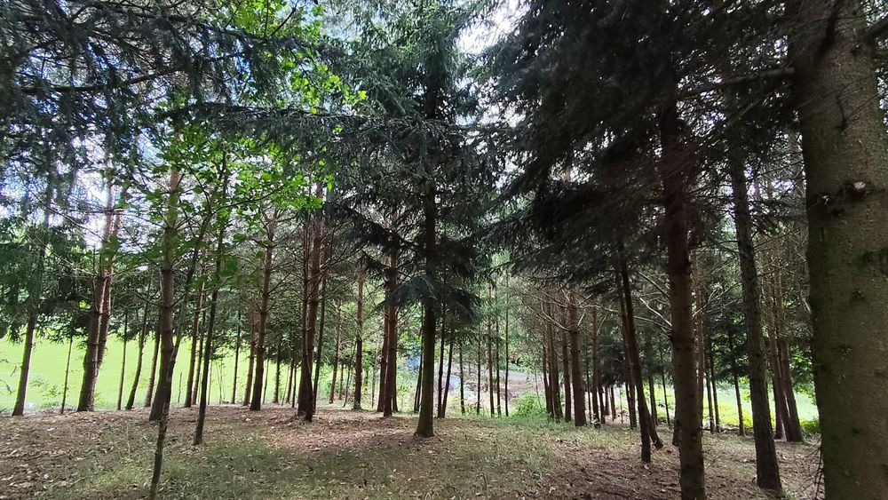 Działka nad kanałem Iławskim z warunkami zabudowy - Widok 2