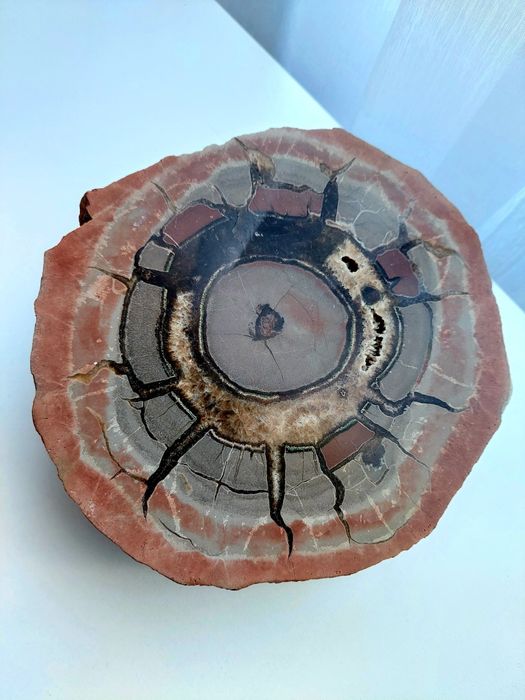 SEPTARIA Kamień Minerał Naturalny #97