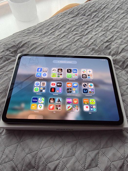 iPad Pro 11" M4 256 Wifi (2024), Space gray