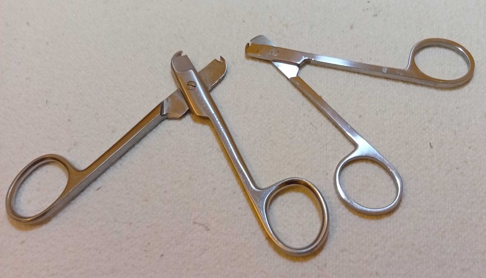 Tesouras para corte anilhas, passaros, aves