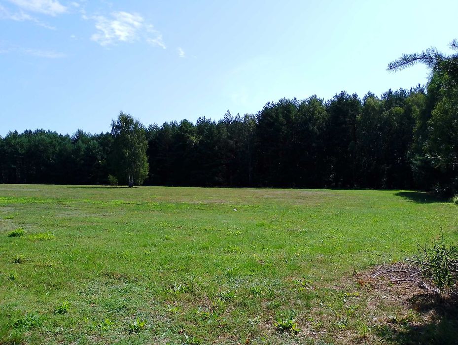 Działki budowlane po 1200 m2 z warunkami zabudowy.