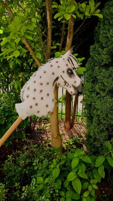 Hobby horse tarantowaty