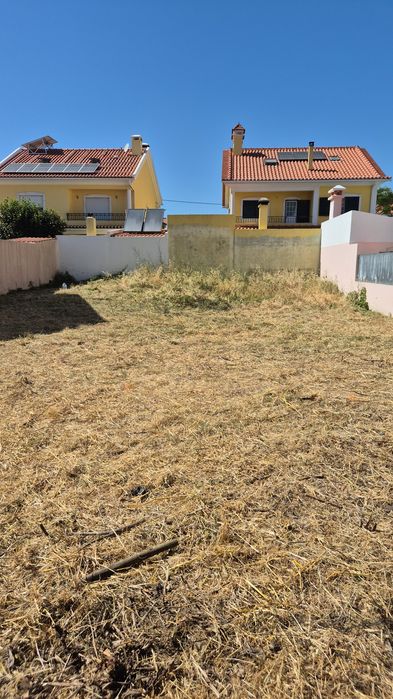 Manutenção de jardins na zona cascais/estoril/oeiras